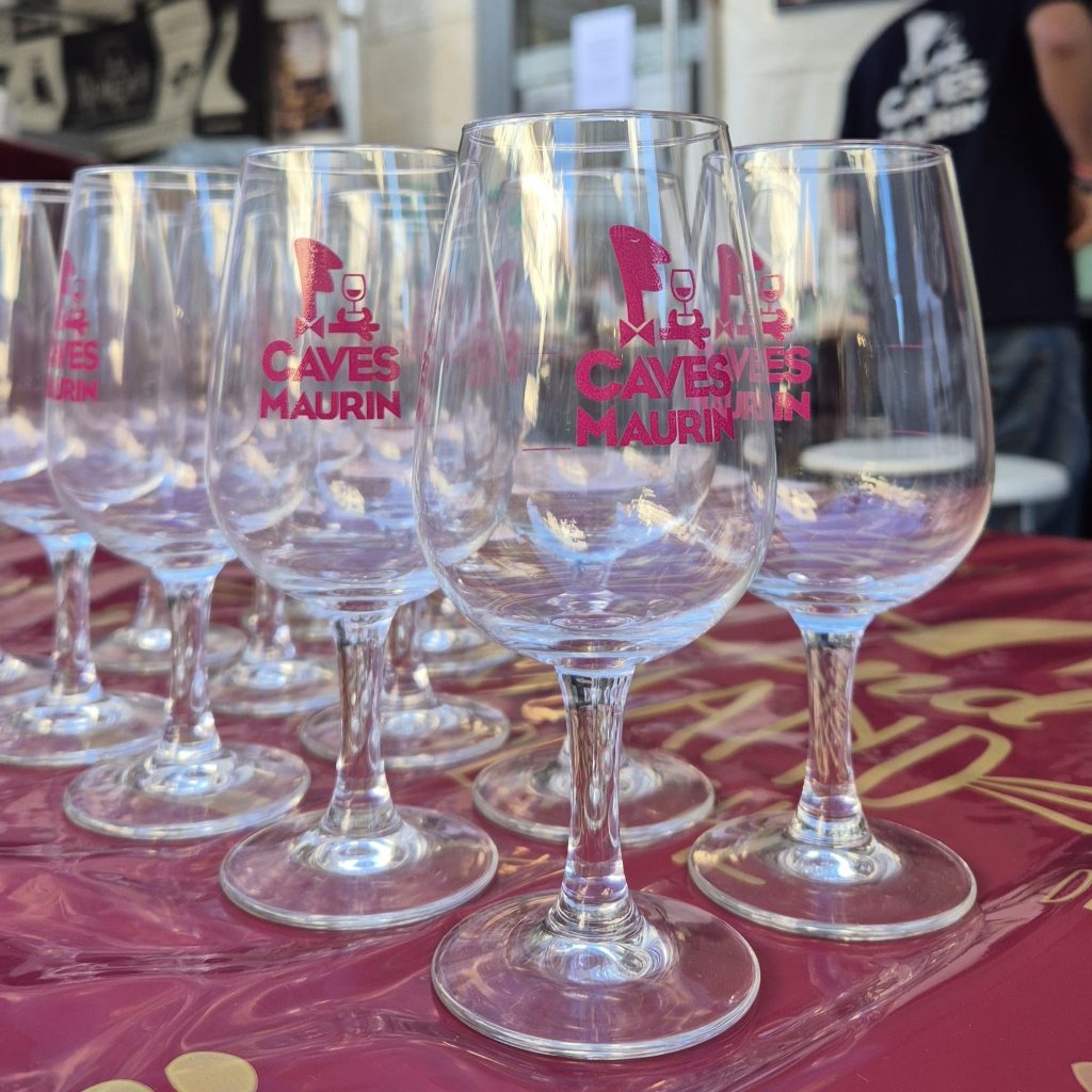 photo verres chat perché 2026